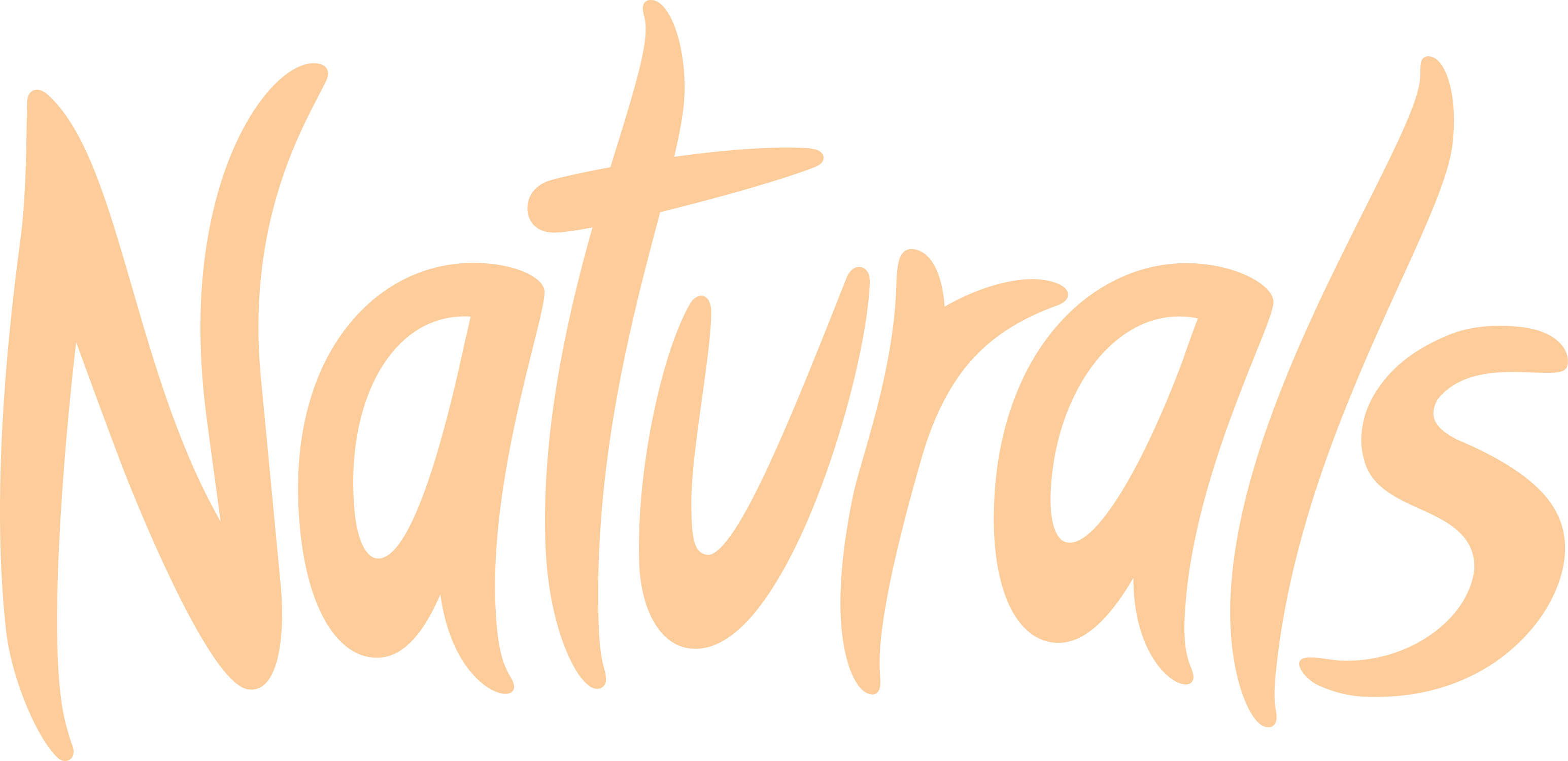 Naturals logo